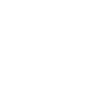 ZORI LOGO